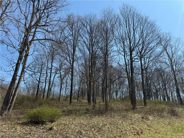 0 Kragel RD, Wintersville, OH 43953