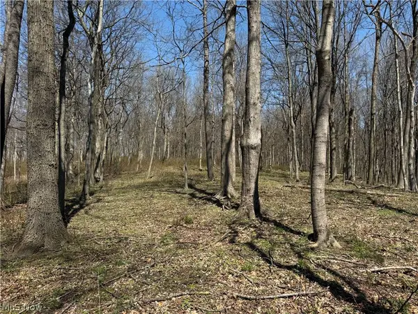 0 Kragel RD, Wintersville, OH 43953