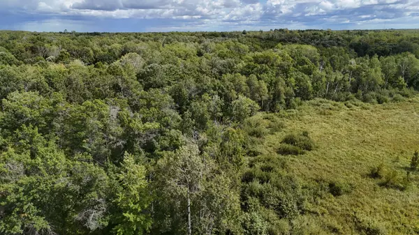 Build Your Dream Retreat on 5 Serene Acres in Mora, MN