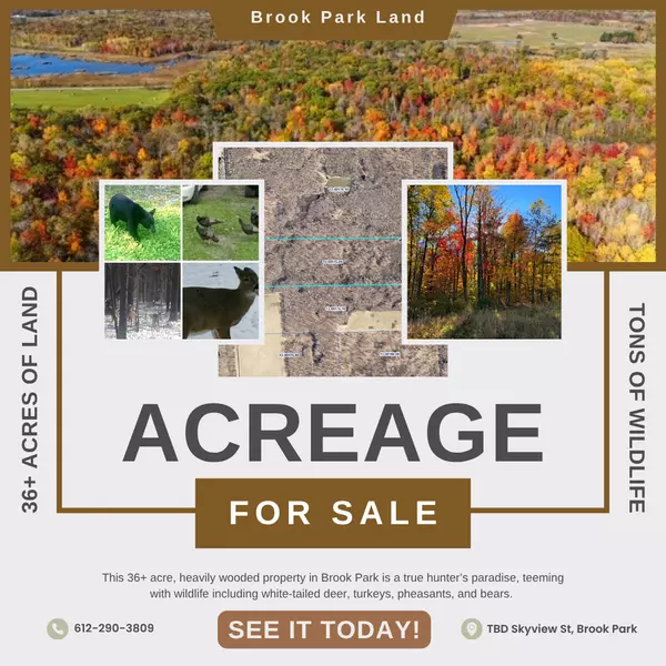 36+ Prime Acres of Hunting Land in Brook Park MN