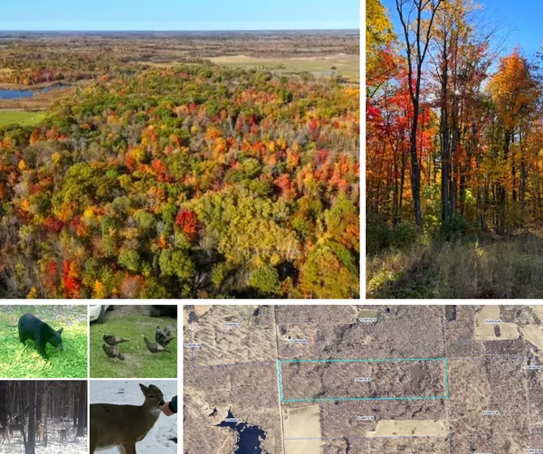 36+ Acres of Landw/Tons of Wildlife in Brook Park MN
