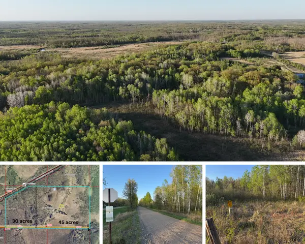 30 Acres Wooded Land in McGrath,Chuck Carstensen