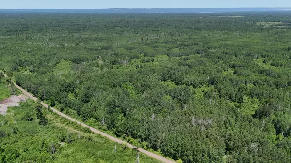 83.58 Acres of Untouched Wilderness | Four Parcels Included