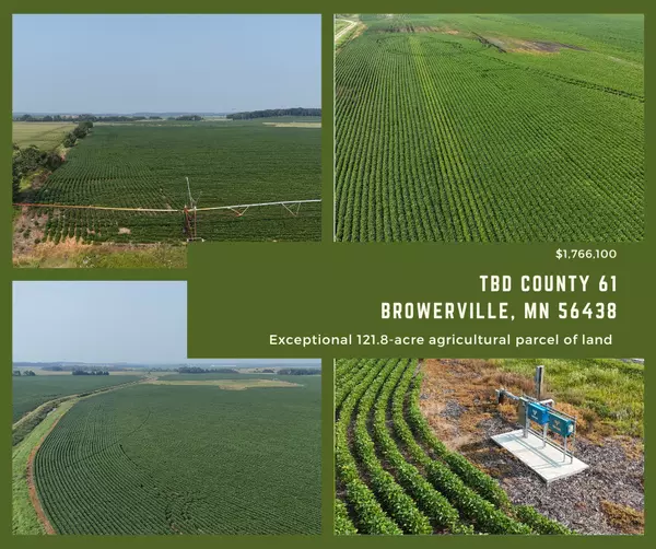 2 Prime Agricultural Tracts for Sale β Browerville, MN