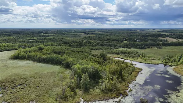 Woods, Water & Wildlife: Discover This Hidden Gem in Brook Park