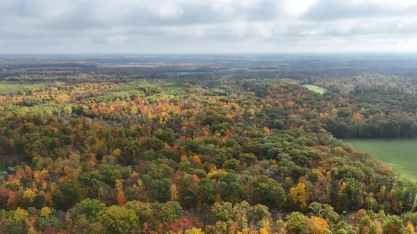 feature image of Heavily Wooded Hunting Land in Brook Park MN