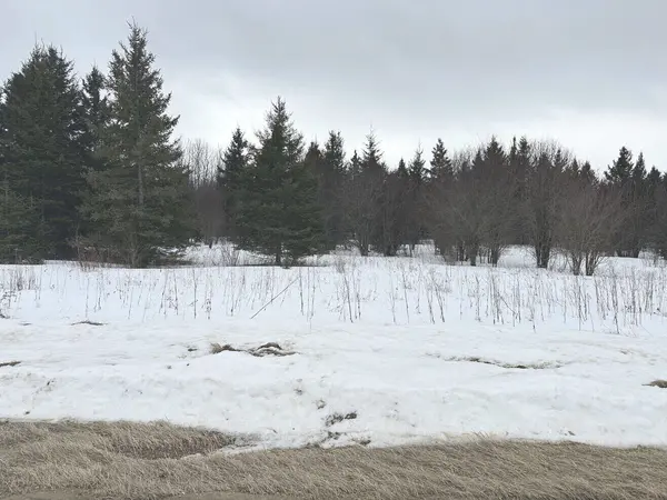 80 Peaceful Acres of Land in Northome,Chuck Carstensen