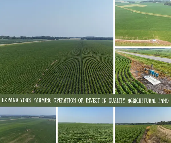 Agricultural Land for Sale in Browerville MN | Irrigated Minnesota Farmland