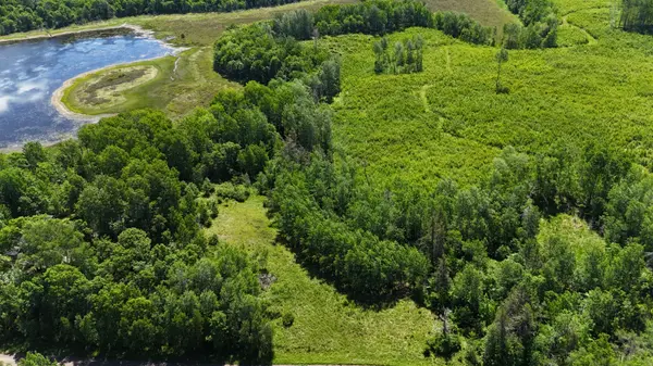 Build Your Northwoods Retreat on Thorn Lake: 2.62 Acres for Sale in Gordon, Wisconsin