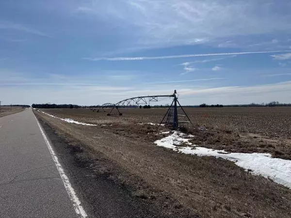 TBD County 61, Browerville, MN 56438