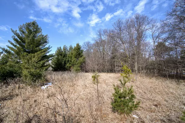 TBD Pacer LOOP, Browerville, MN 56438