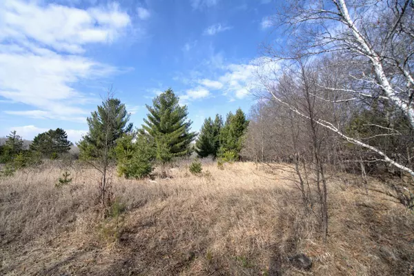 TBD Pacer LOOP, Browerville, MN 56438