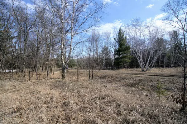TBD Pacer LOOP, Browerville, MN 56438