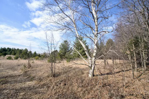 TBD Pacer LOOP, Browerville, MN 56438