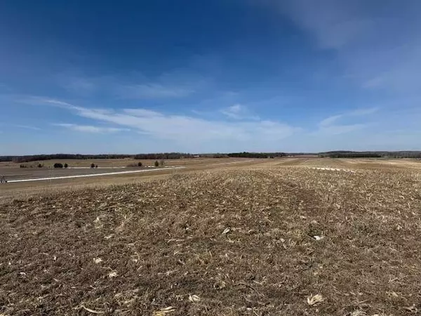 0000 County 61, Browerville, MN 56438