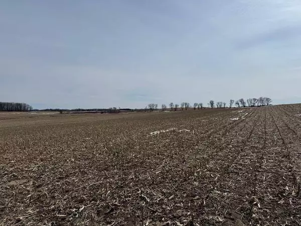 0000 County 61, Browerville, MN 56438