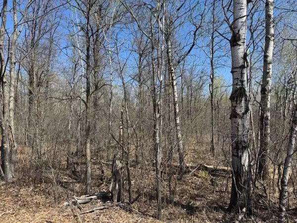 23xx Naples ST, Mora, MN 55007