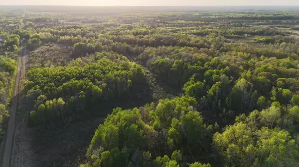 TBD 180th LN, Mcgrath, MN 56350