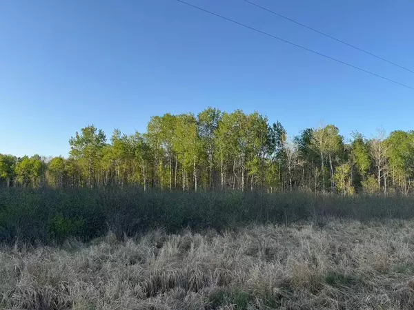 TBD 180th LN, Mcgrath, MN 56350