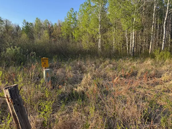 TBD 180th LN, Mcgrath, MN 56350