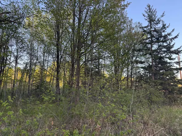 TBD 180th LN, Mcgrath, MN 56350