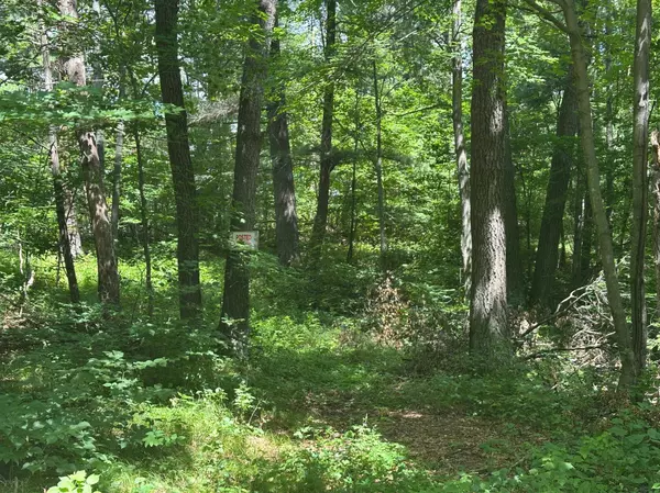 33073 Aspen LN, Motley, MN 56466