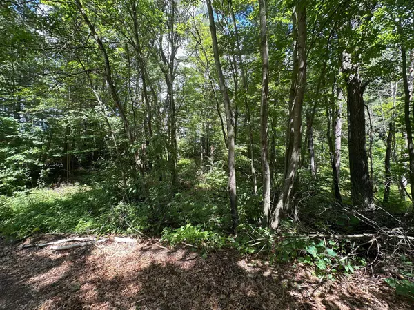 33073 Aspen LN, Motley, MN 56466