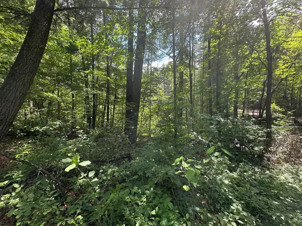 TBD White Pine LN, Motley, MN 56466