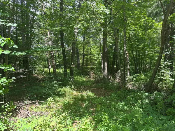 33073 Aspen LN, Motley, MN 56466