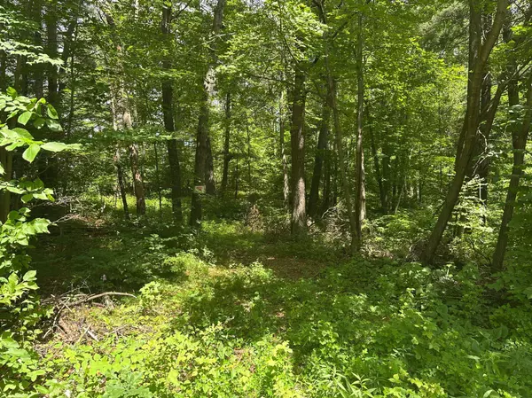 33073 Aspen LN, Motley, MN 56466