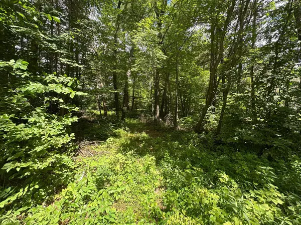 33073 Aspen LN, Motley, MN 56466