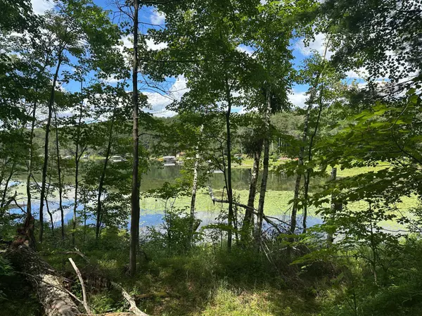 TBD White Pine LN, Motley, MN 56466