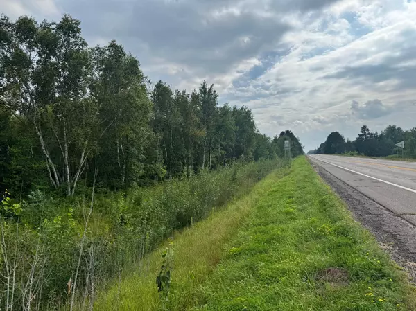 TBD Highway 107, Brook Park, MN 55007