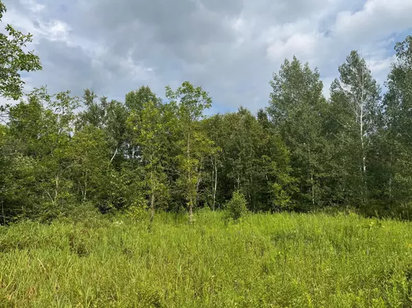 TBD Highway 107, Brook Park, MN 55007