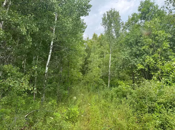 TBD Highway 107, Brook Park, MN 55007