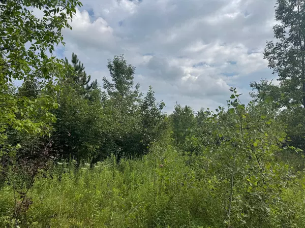 TBD Highway 107, Brook Park, MN 55007