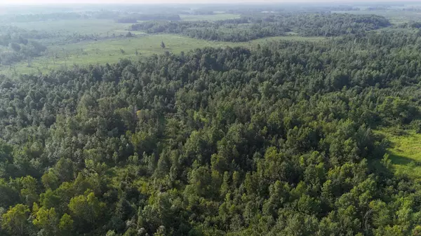 TBD Highway 107, Brook Park, MN 55007