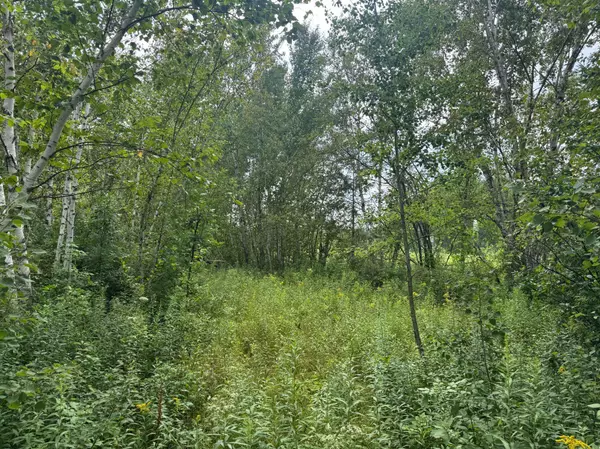 TBD Highway 107, Brook Park, MN 55007