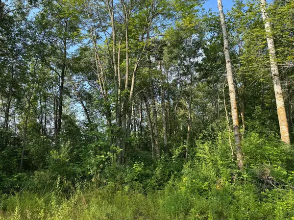 TBD Highway 23, Brook Park, MN 55007