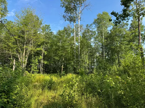 TBD Highway 23, Brook Park, MN 55007