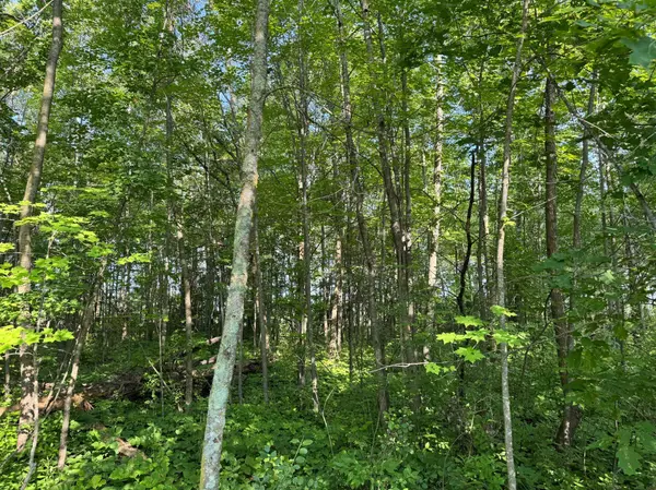 TBD Highway 23, Brook Park, MN 55007