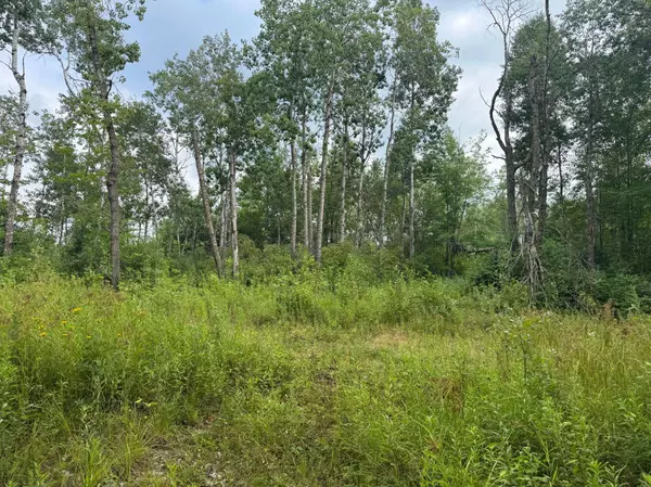 TBD Highway 23, Brook Park, MN 55007