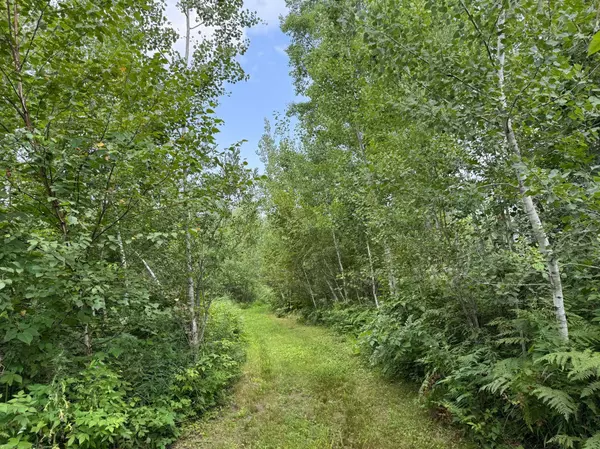 72237 Markville RD, Sandstone, MN 55072