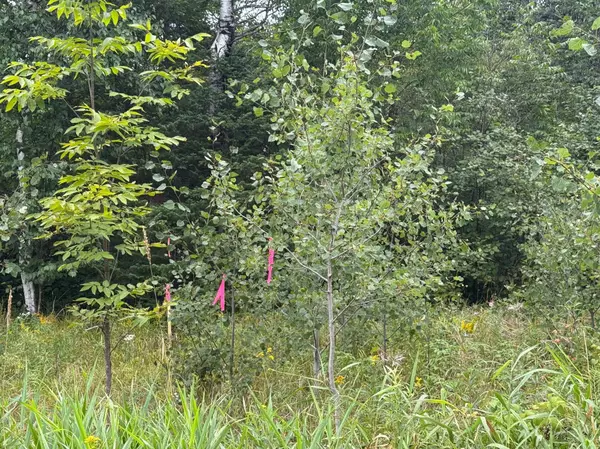 TBD Townline RD, Brimson, MN 55602