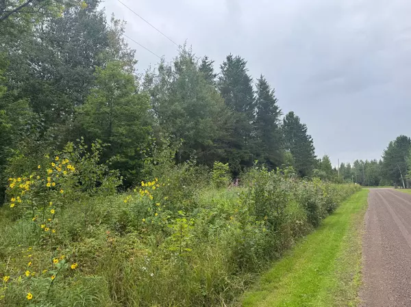 TBD Townline RD, Brimson, MN 55602