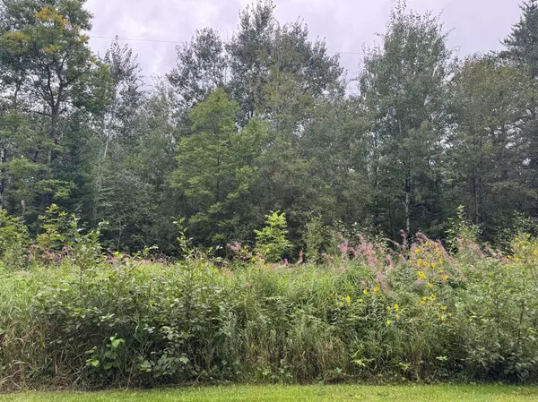 TBD Townline RD, Brimson, MN 55602