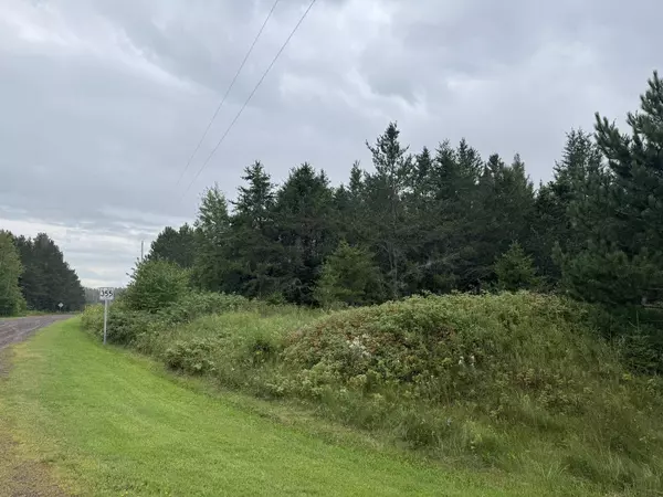 TBD Townline RD, Brimson, MN 55602