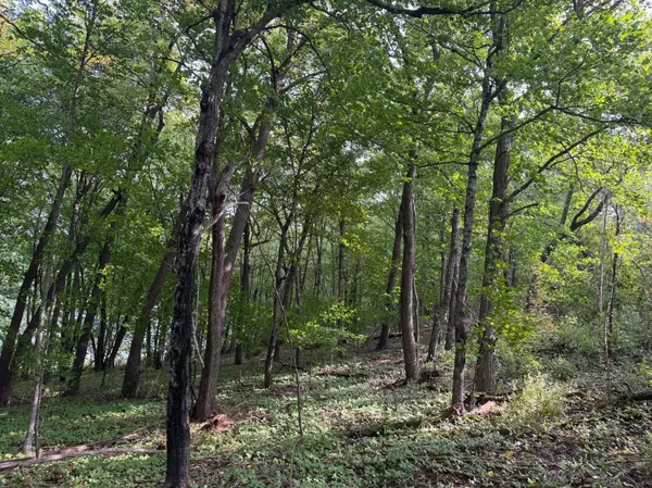 TBD Co Rd 82 NW, Brandon, MN 56315