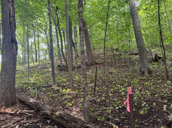 TBD Co Rd 82 NW, Brandon, MN 56315