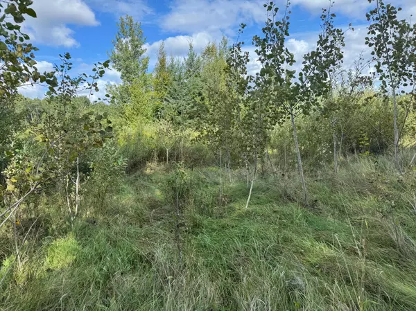 TBD State Hwy 23, Brook Park, MN 55007